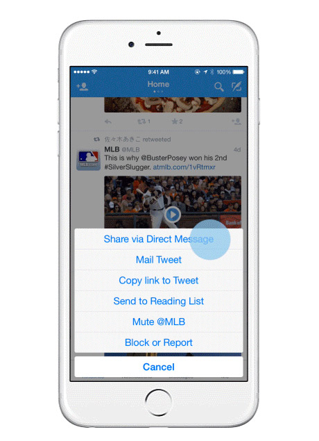 iPhone en la opción de Compartir por mensaje privado Twitter