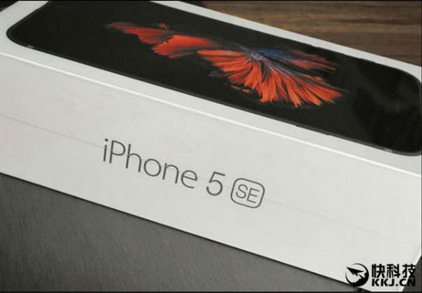 iPhone 5se caja