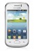 Samsung Galaxy Young pantalla frente