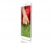 LG G Pad 8.3 V500 en México White Blanco de lado