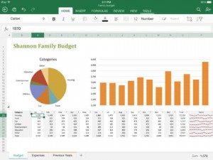 Office Excel para iPad