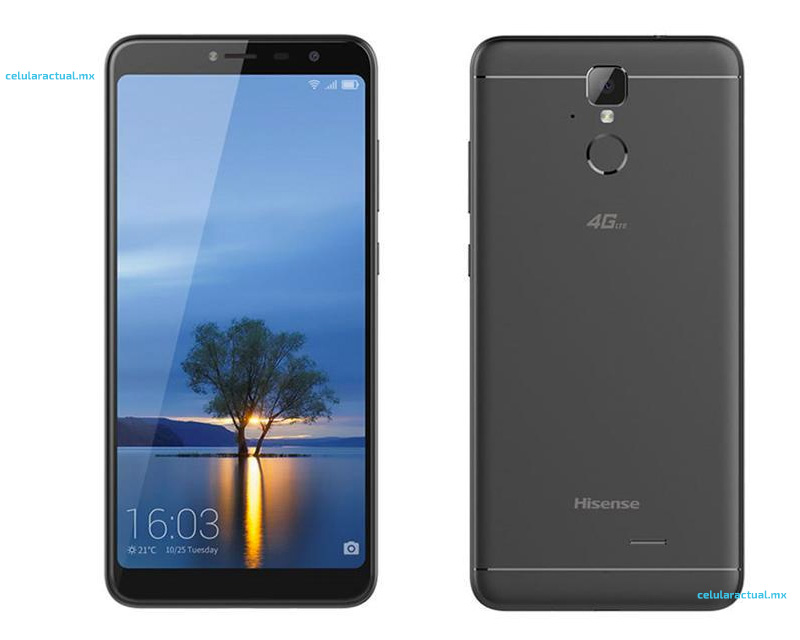 Hisense F24