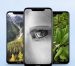 Nokia X7 (7.1 Plus) pantalla PureDisplay con notch